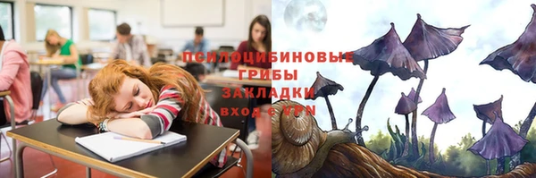героин Алексин