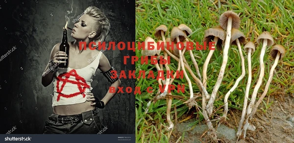 кокаин колумбия Алзамай