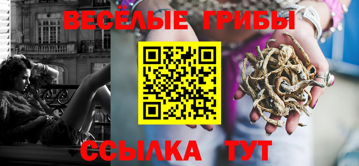 Псилоцибиновые грибы мицелий Искитим
