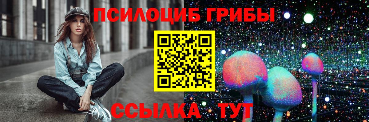 Искитим  Псилоцибиновые грибы MAGIC MUSHROOMS  Вход с VPN 